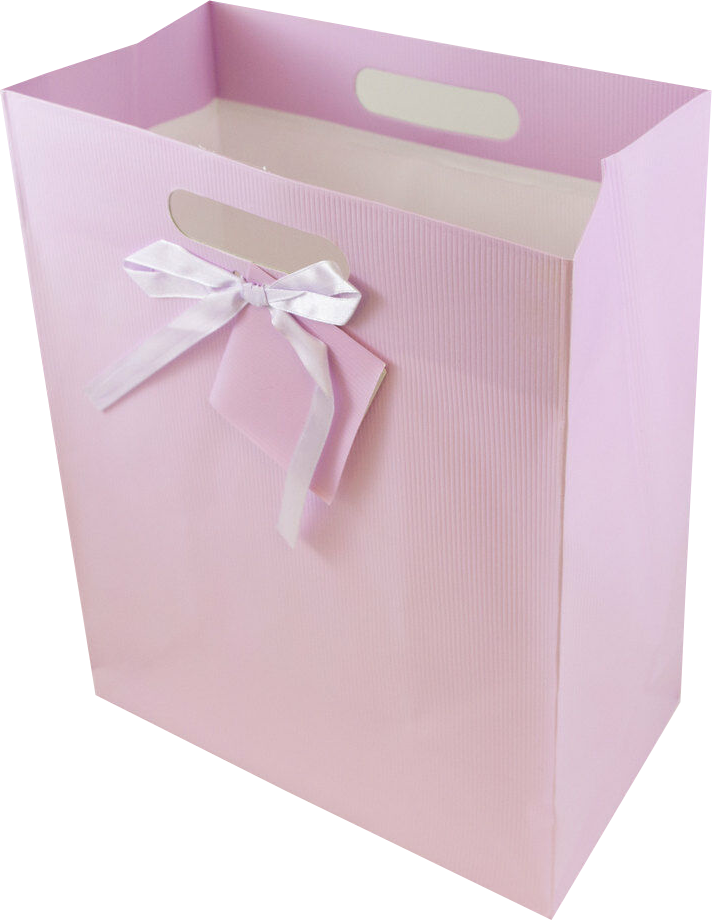 Light Pink Large Pinstripe Gift Bags (10 x 13 x 5)