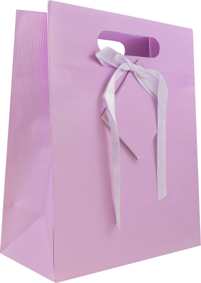 Light Fuchsia Medium Pinstripe Gift Bags (8 x 10 x 4)