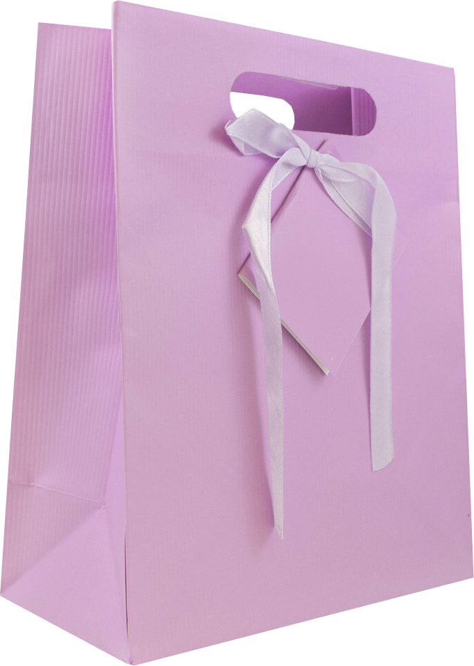 Light Fuchsia Medium Pinstripe Gift Bags (8 x 10 x 4)