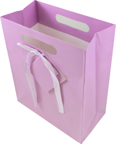 Light Fuchsia Medium Pinstripe Gift Bags (8 x 10 x 4)