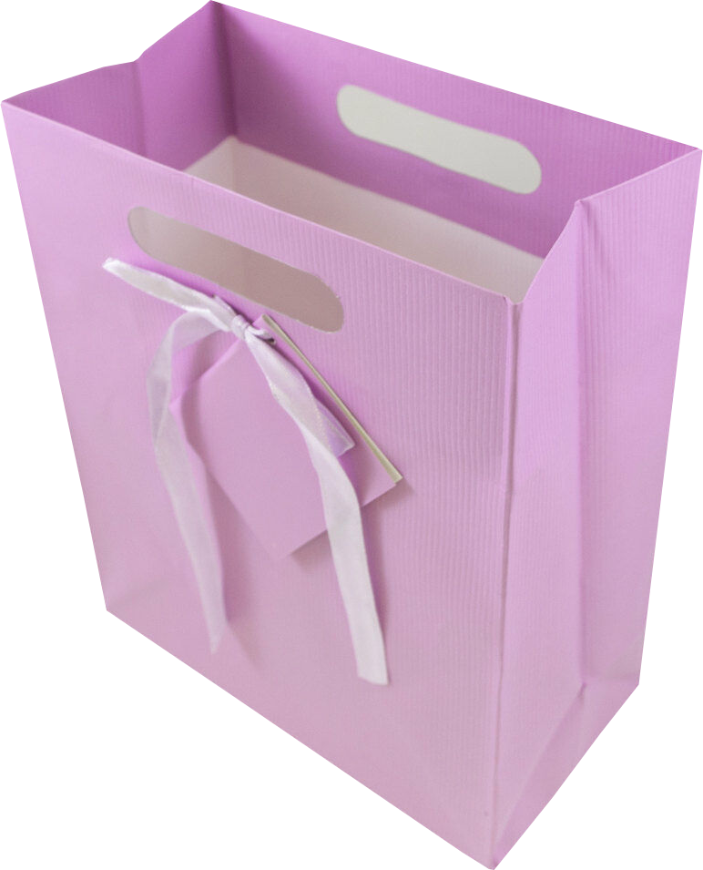 Light Fuchsia Medium Pinstripe Gift Bags (8 x 10 x 4)