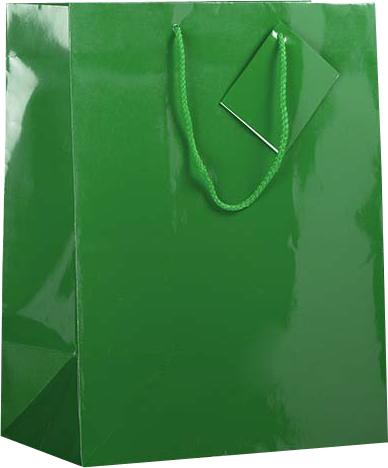 Green Large Glossy Gift Bags (10 x 13 x 5)