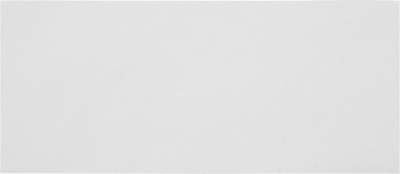 White with Security Tint 24lb #10 Regular Envelopes (4 1/8 x 9 1/2)