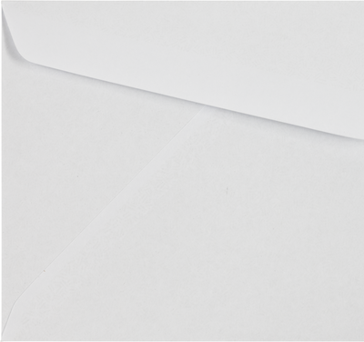 White with Security Tint 24lb #10 Regular Envelopes (4 1/8 x 9 1/2)