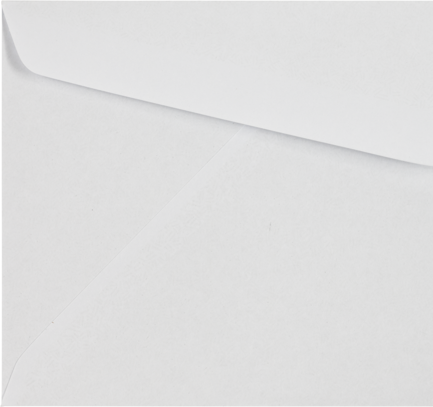 White with Security Tint 24lb #10 Regular Envelopes (4 1/8 x 9 1/2)