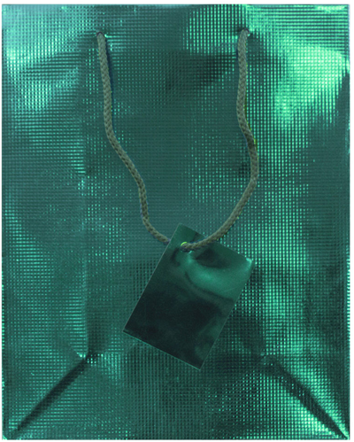 Teal Foil Medium Checkered Gift Bags (8 x 10 x 4)