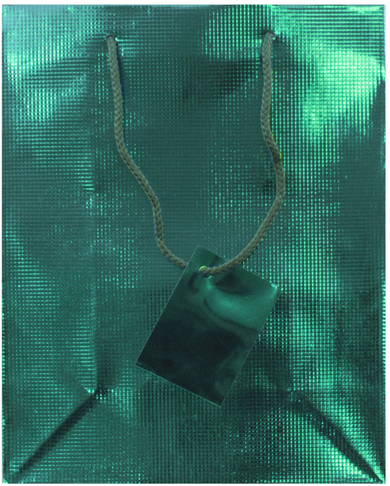 Teal Foil Medium Checkered Gift Bags (8 x 10 x 4)