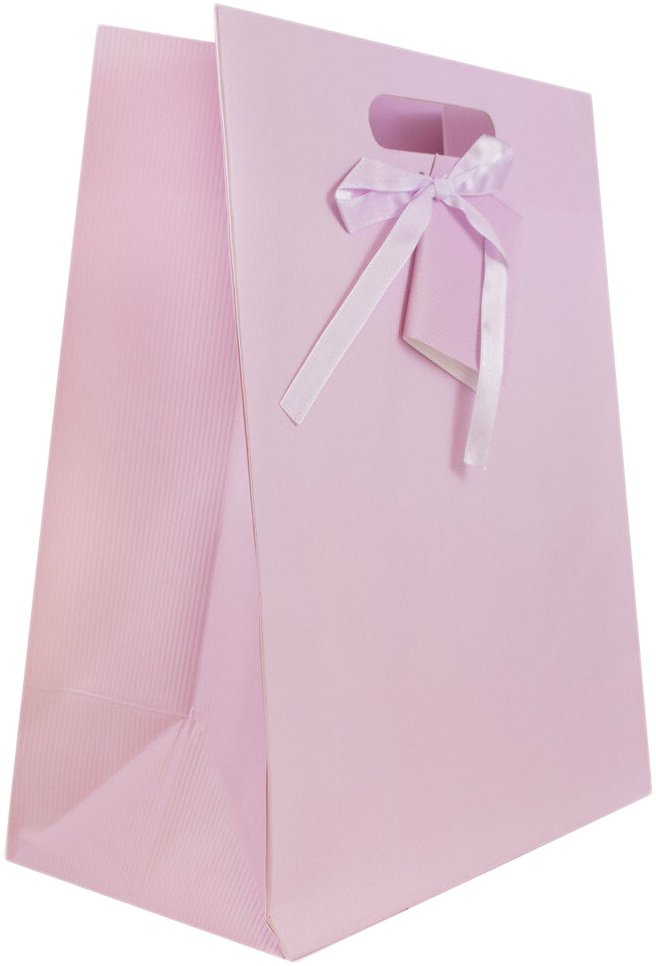 Light Pink Large Pinstripe Gift Bags (10 x 13 x 5)