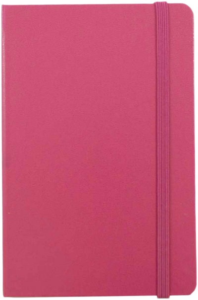 Pink Berry Travel Size 4 x 6 Notebooks (70 Dotted Pages)