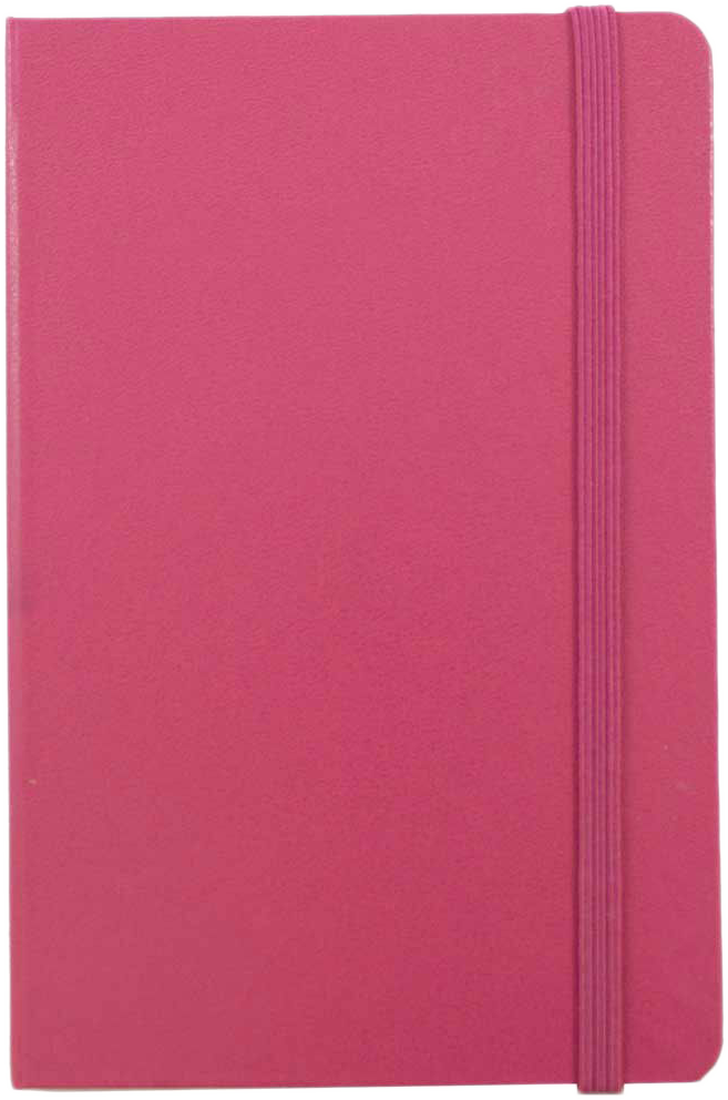 Pink Berry Travel Size 4 x 6 Notebooks (70 Dotted Pages)