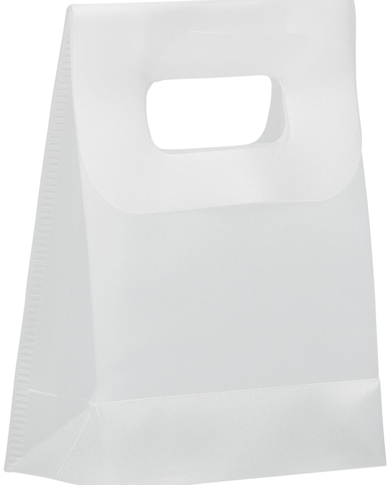Clear Frosted Small Plastic Lunch Bags (3 x 4 x 1 1/2)