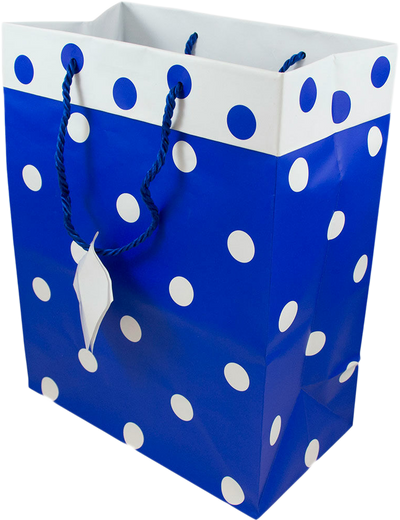 Blue and White Polka Dot Large Gift Bags (10 x 13 x 6)