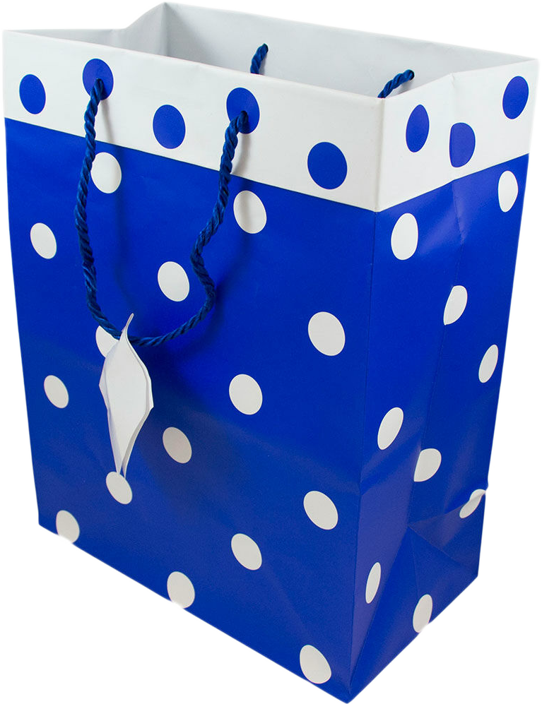 Blue and White Polka Dot Large Gift Bags (10 x 13 x 6)