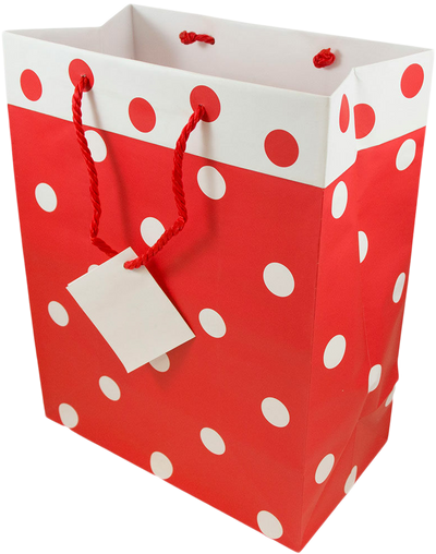 Red and White Polka Dot Large Gift Bags (10 x 13 x 6)