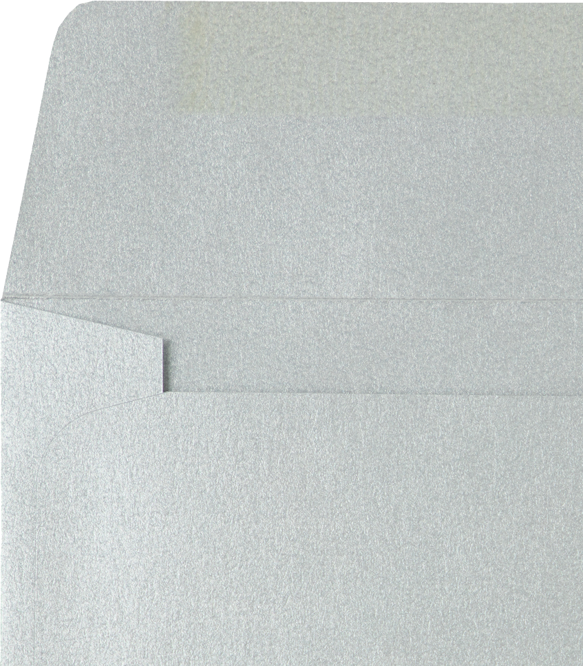 Silver Metallic 32lb 6 x 9 Booklet Envelopes