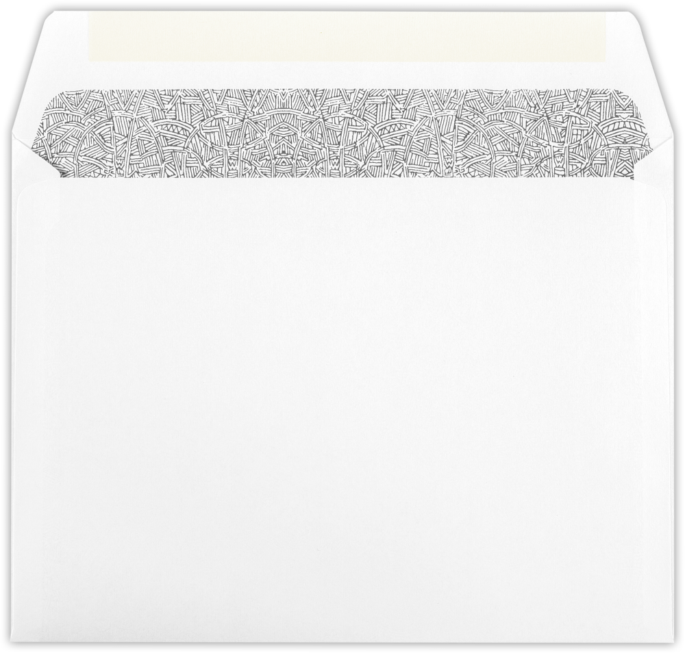 White with Security Tint 24lb 6 x 9 Booklet Envelopes