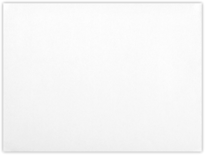 White with Security Tint 24lb 6 x 9 Booklet Envelopes