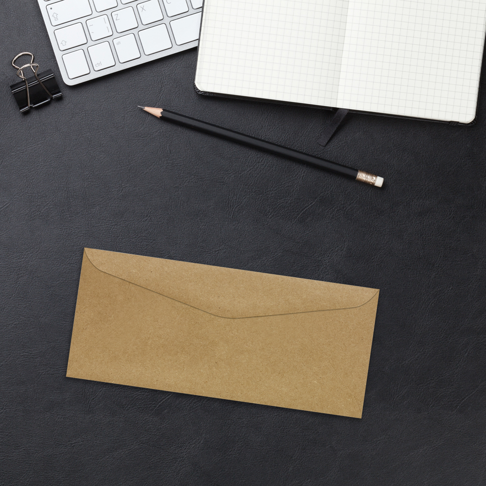 Grocery Bag 28lb #9 Regular Envelopes (3 7/8 x 8 7/8)