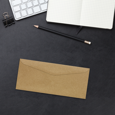 Grocery Bag 28lb #9 Regular Envelopes (3 7/8 x 8 7/8)