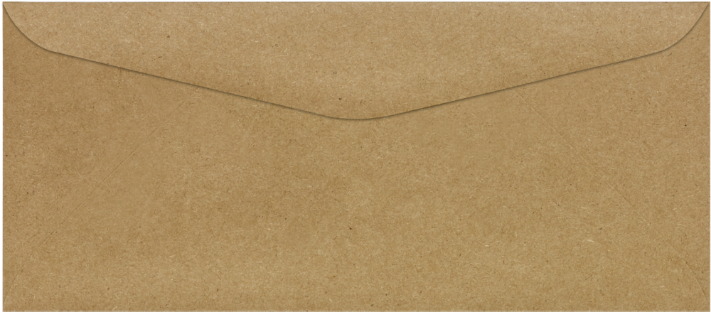 Grocery Bag 28lb #9 Regular Envelopes (3 7/8 x 8 7/8)