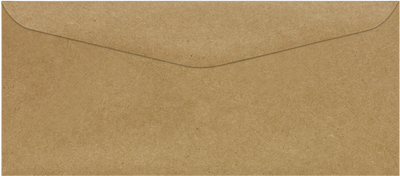 Grocery Bag 28lb #9 Regular Envelopes (3 7/8 x 8 7/8)
