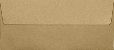 Grocery Bag 28lb #10 Square Flap Envelopes (4 1/8 x 9 1/2) with Peel & Seal