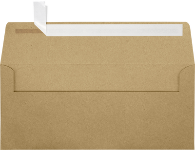 Grocery Bag 28lb #10 Square Flap Envelopes (4 1/8 x 9 1/2) with Peel & Seal