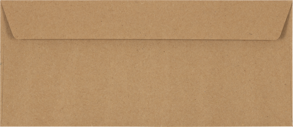 Grocery Bag 28lb #10 Window Envelopes (4 1/8 x 9 1/2)