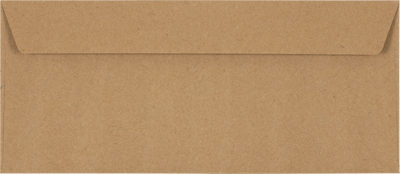 Grocery Bag 28lb #10 Window Envelopes (4 1/8 x 9 1/2)