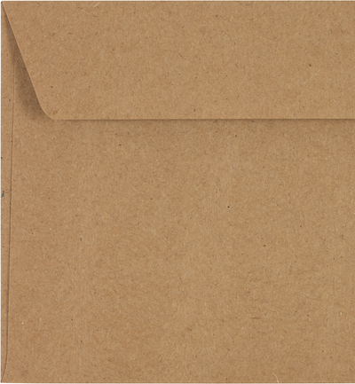 Grocery Bag 28lb #10 Window Envelopes (4 1/8 x 9 1/2)