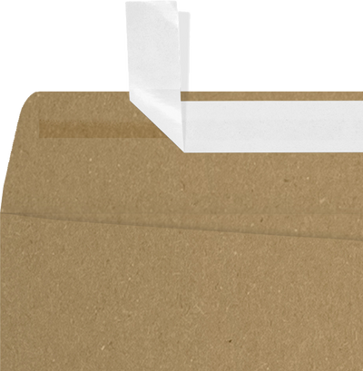 Grocery Bag 28lb 9 x 12 Open End Envelopes with Peel & Seal