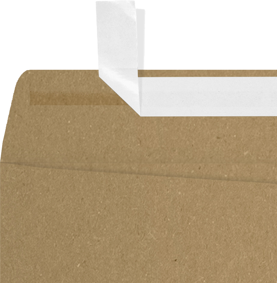 Grocery Bag 28lb 9 x 12 Open End Envelopes with Peel & Seal