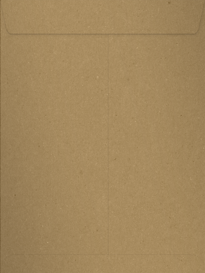Grocery Bag 28lb 9 x 12 Open End Envelopes with Peel & Seal