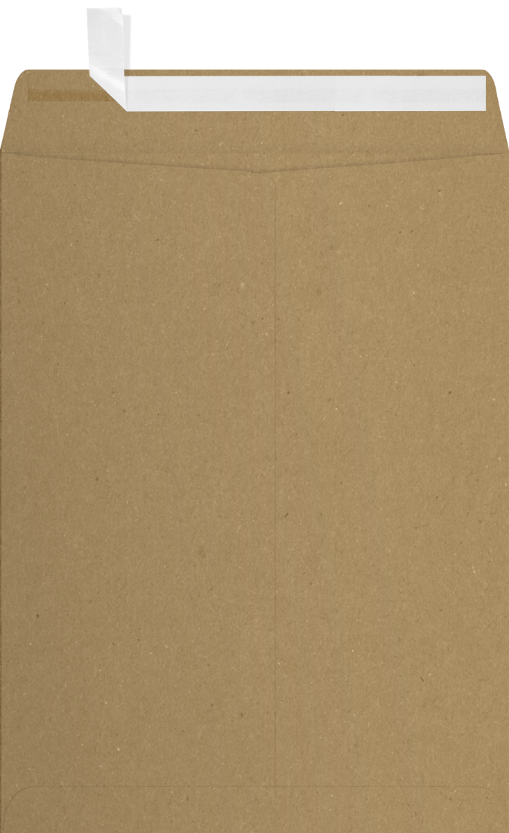 Grocery Bag 28lb 9 x 12 Open End Envelopes with Peel & Seal