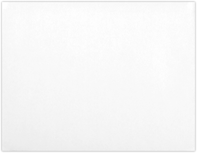 White with Security Tint 24lb 10 x 13 Booklet Envelopes
