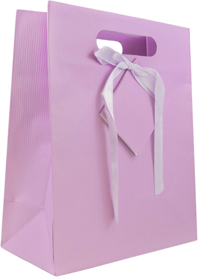 Light Fuchsia Medium Pinstripe Gift Bags (8 x 10 x 4)