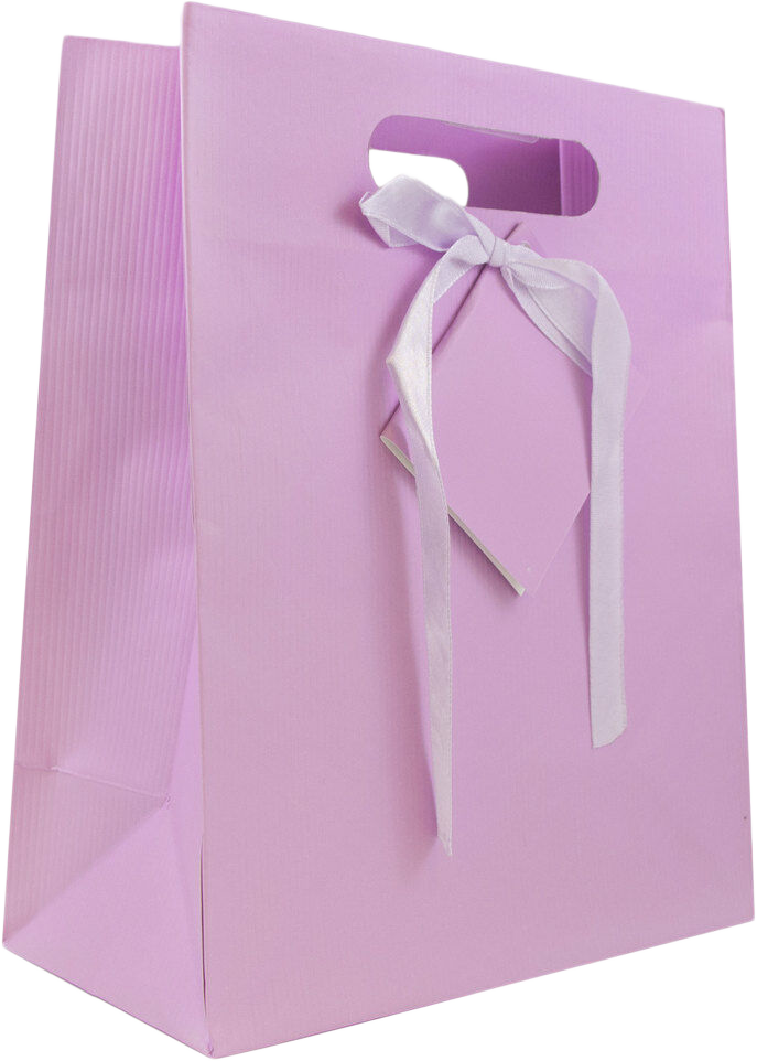 Light Fuchsia Medium Pinstripe Gift Bags (8 x 10 x 4)