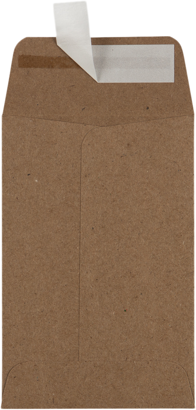 Grocery Bag 28lb #4 Coin Envelopes (3 x 4 1/2)