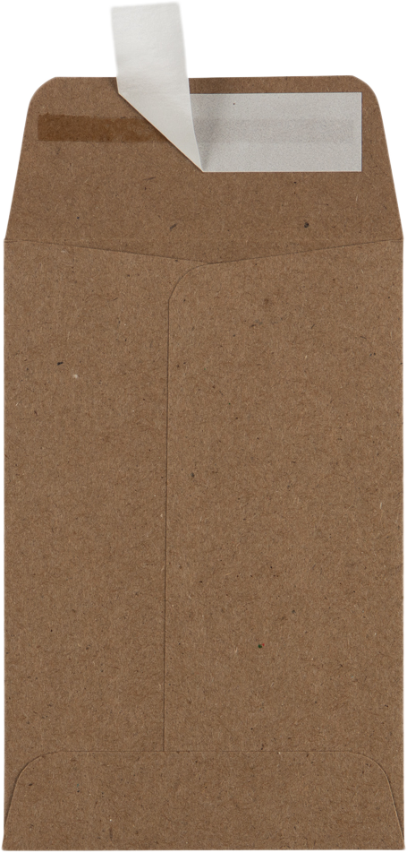 Grocery Bag 28lb #4 Coin Envelopes (3 x 4 1/2)