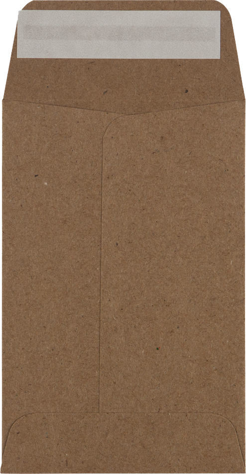 Grocery Bag 28lb #4 Coin Envelopes (3 x 4 1/2)