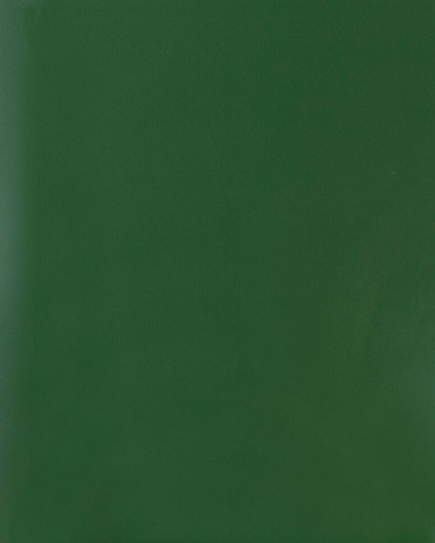 Glossy Green 9 x 12 Standard Folders