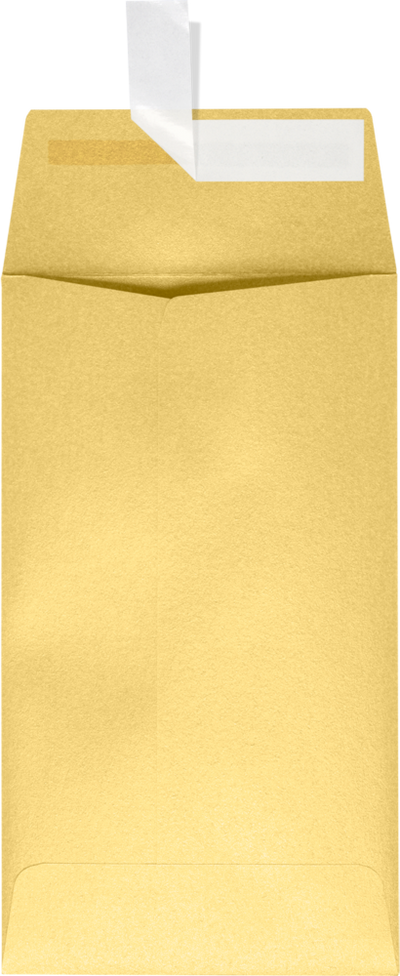 Gold Metallic 32lb #5 1/2 Coin Envelopes (3 1/8 x 5 1/2) with Peel & Seal