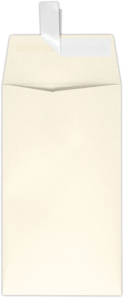 Champagne Ivory Metallic 32lb #5 1/2 Coin Envelopes (3 1/8 x 5 1/2) with Peel & Seal