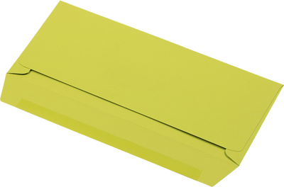 Wasabi Lime Green 32lb #10 Window Envelopes (4 1/8 x 9 1/2)
