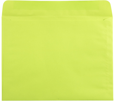 Wasabi Lime Green 32lb 9 x 12 Booklet Envelopes