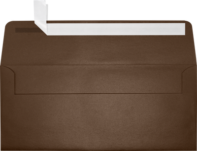 Bronze Brown Metallic 32lb #10 Square Flap Envelopes (4 1/8 x 9 1/2) with Peel & Seal