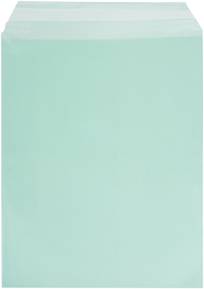 Green 1.6mil 8 15/16 x 11 1/4 Cello Envelopes with Peel & Seal