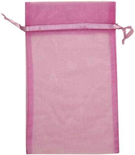 Violet Large Sheer Bags (5 1/2 x 9)