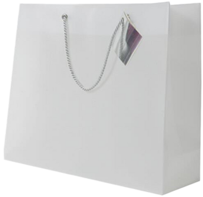 Clear Translucent Larges Shopping Bags (13 x 10 1/2 x 4)