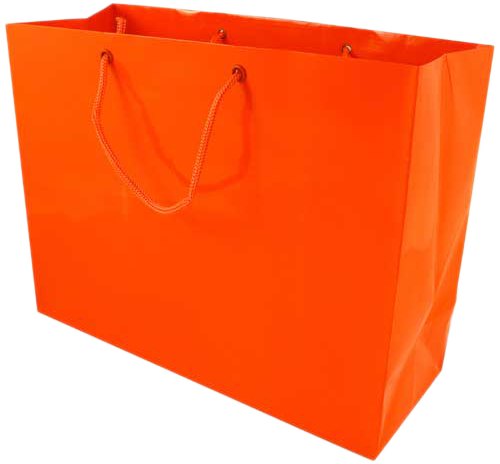 Orange Large Glossy Horizontal Gift Bags (13 x 10 x 5)